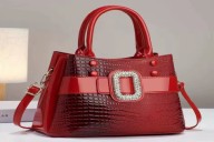 luggagi and bags, etui,  wenera